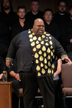 Review: AIDA at Union Avenue Opera  Image