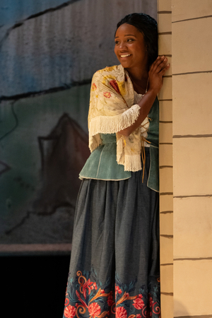 Review: CARMEN at Union Avenue Opera Image