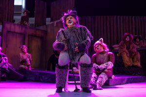 Review: CATS THE MUSICAL at Stage West At The Lights  Image