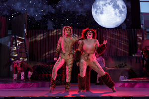 Review: CATS THE MUSICAL at Stage West At The Lights Image