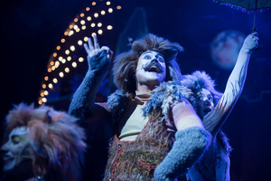 Review: CATS at Seacoast Repertory Theatre Image