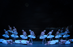 Review: SWAN LAKE, London Coliseum Image