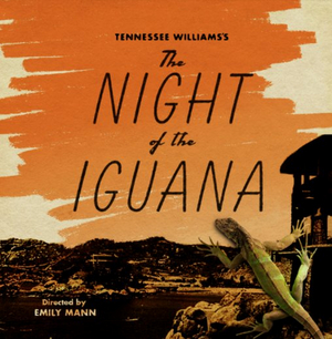 Tim Daly, Daphne Rubin-Vega, Lea Delaria, and More Will Lead THE NIGHT OF THE IGUANA Off-Broadway 