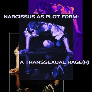 NARCISSUS AS PLOT FORM: A TRANSSEXUAL RAGE(R) To Have Public Reading Photo
