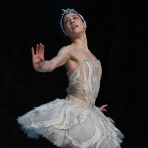 La Compañía Nacional De Danza Ofrece Función única De Lago De Los Cisnes En El Audito Photo