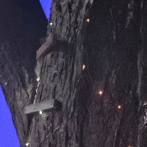 Photos: NO SUCH THING AS WOLVES at Birmingham Hippodrome Photo