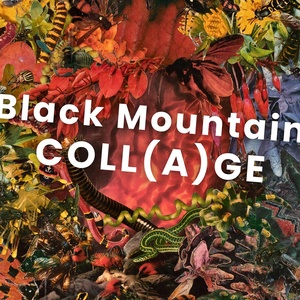 BLACK MOUNTAIN COLL(A)GE Exhibition Set For May Photo