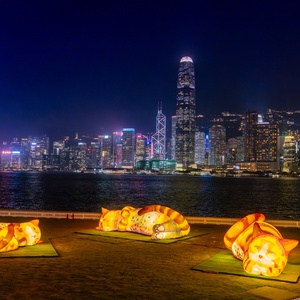 WestK FunFest is Now Open in Hong Kong Interview