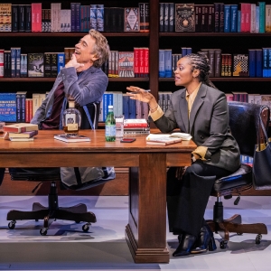 Review Roundup: Robert Downey Jr. & More Star In MCNEAL on Broadway Photo