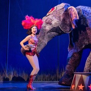 WATER FOR ELEPHANTS Comes to Lubbock’s Buddy Holly Hall in January 2026 Photo