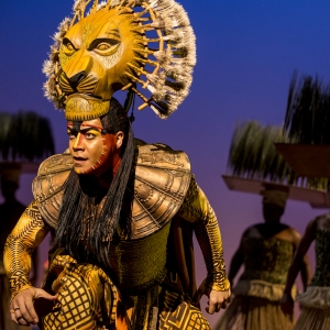Tickets on Sale For THE LION KING at the Buddy Holly Hall Next Week Photo