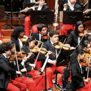 Summer 2024 Concerts by Carnegie Hall's National Youth Ensembles Will Stream For Free Photo