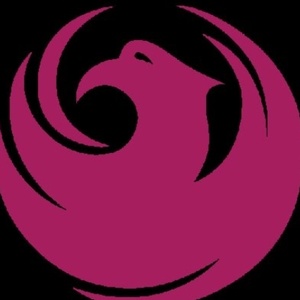 Phoenix Office Of Arts And Culture Releases Findings From &iexcl;SOMBRA! EXPERIMENTS IN SH Photo