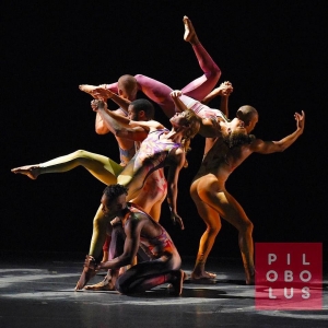 PILOBOLUS re:CREATION Tour Comes to Mayo Performing Arts Center in April Photo