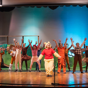 Photos: First look at Sunbury Performing Arts Presents DISNEY WINNIE THE POOH, KIDS Video