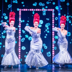 PRISCILLA THE PARTY! Will Close in London in May Video