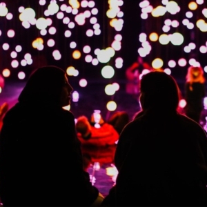 Scottsdale Museum of Contemporary Art To Host Summer Events In Conjunction With New Exhibi Photo