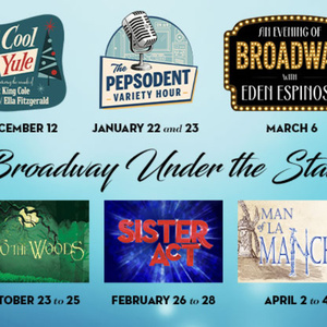 INTO THE WOODS, SISTER ACT and More Set for Desert Theatricals Season 8 Photo