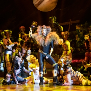 CATS in Australia Adds New Cities Plus Extra Sydney Performances Photo