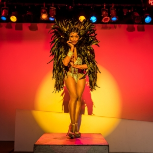 JOSEPHINE: A MUSICAL CABARET Comes to The Segal Centre for Performing Arts This Month