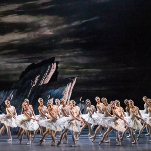 The Royal Ballet's SWAN LAKE Returns to the Royal Opera House Photo