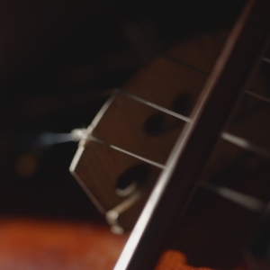 FLORA MIRABILIS Comes to the Greek National Opera