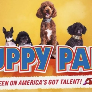 PUPPY PALS Comes to the Orpheum Theater Center in April Photo