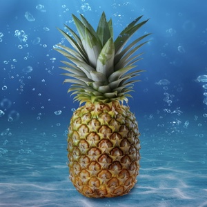 Cast Set For THE SPONGEBOB MUSICAL at Cygnet Theatre Video