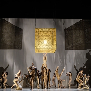 Danse Danse Reveals Fall Program Photo