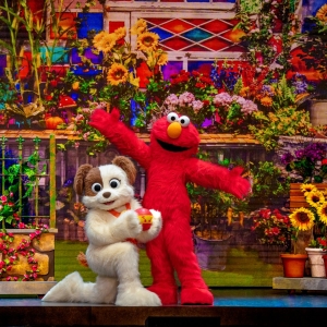 SESAME STREET LIVE! SAY HELLO Comes to the State Theatre New Jersey Photo