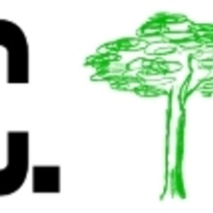 Amy Sherald, Christian Slater & More Set for Public Forum at The Delacorte Photo