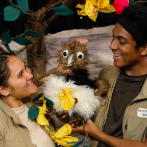 Honolulu Theatre For Youth Announces World Premiere Of FOREST FLUTTERS Photo