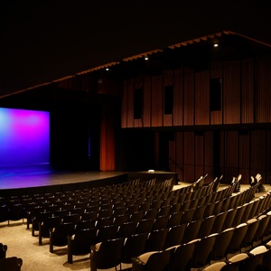 ELEPHANT & PIGGIES WE ARE IN A PLAY! Comes to AMFAs Childrens Theatre Photo