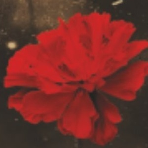 HADESTOWN to Open Starlight's 75th Broadway Season Photo