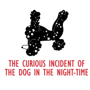 THE CURIOUS INCIDENT OF THE DOG IN THE NIGHT-TIME Takes the Stage At The Missoula Ch Photo