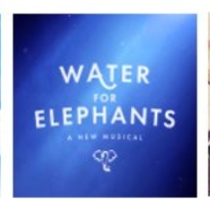 THE GREAT GATSBY, WATER FOR ELEPHANTS Announced for Broadway In Chicago 2026 Subscr Video