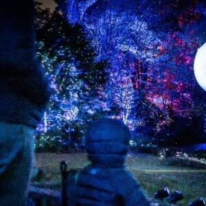 Photos: LIGHTSCAPE to Return to Brooklyn Botanic Garden Photo