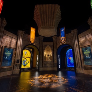 HARRY POTTER: THE EXHIBITION in Brunswick Must Close This Week Photo