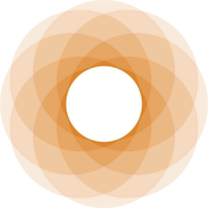 Sarasota Opera Awarded $60,000 Empowering Arts Grant from Gulf Coast Community Founda Photo