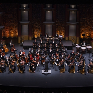Palm Beach Symphony Ends Season with all Beethoven Program Video