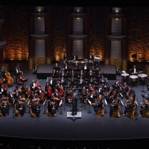 Palm Beach Symphony Ends Season with all Beethoven Program