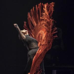 Gala Flamenca - Sadler's Wells Photo