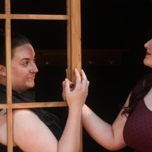 JEKYLL & HYDE: THE MUSICAL to Open at Ann Arbor Civic Theatre Photo