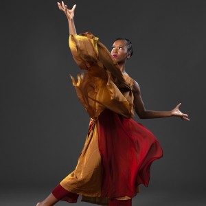 Dana Tai Soon Burgess Dance Company Brings World Premiere of LANDSCAPES to The Noguchi Mus Photo