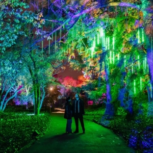 Photos: Brooklyn Botanic Gardens LIGHTSCAPE Photo