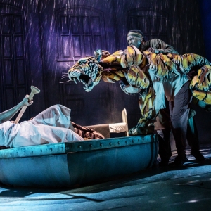 LIFE OF PI Comes to the Eccles in April Photo