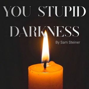 YOU STUPID DARKNESS Comes to 21ten Theatre Photo