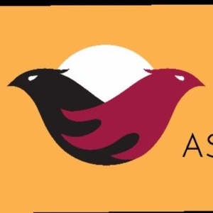 EVOLUTION: ASIAN AMERICAN ARTS FESTIVAL Set for May in Honor of Heritage Month Photo