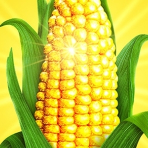 SHUCKED Launches Digital Lottery For Bass Hall Run Photo