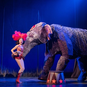 WATER FOR ELEPHANTS $30 Student and Educator Rush Tickets Available at Broadway Gran Photo